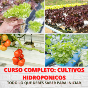 CURSO HIDROPONÍA