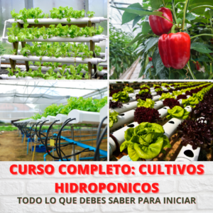 CURSO HIDROPONÍA