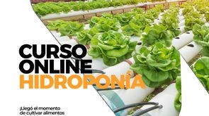 CURSO HIDROPONÍA